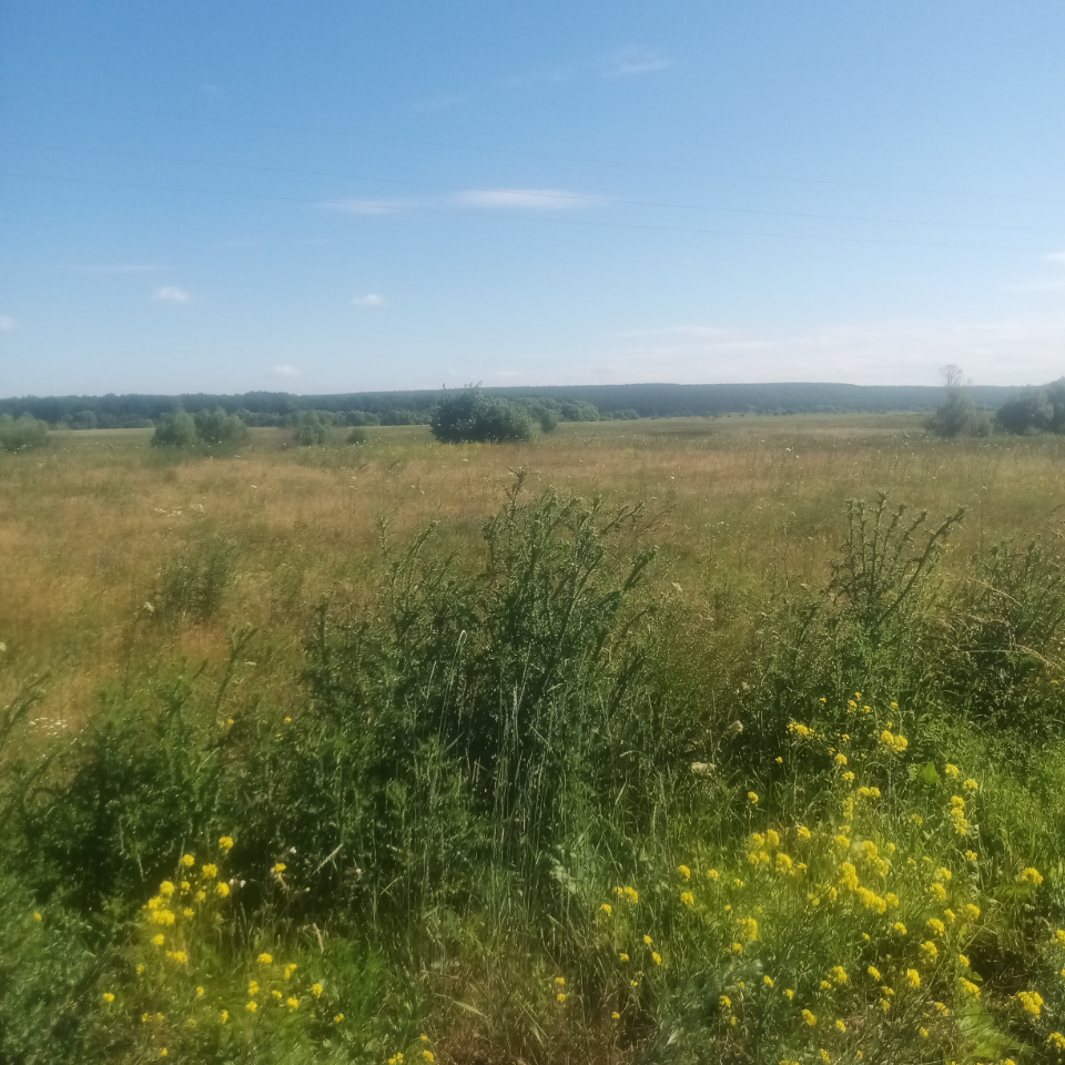 Обои 2026-08-09 №86151