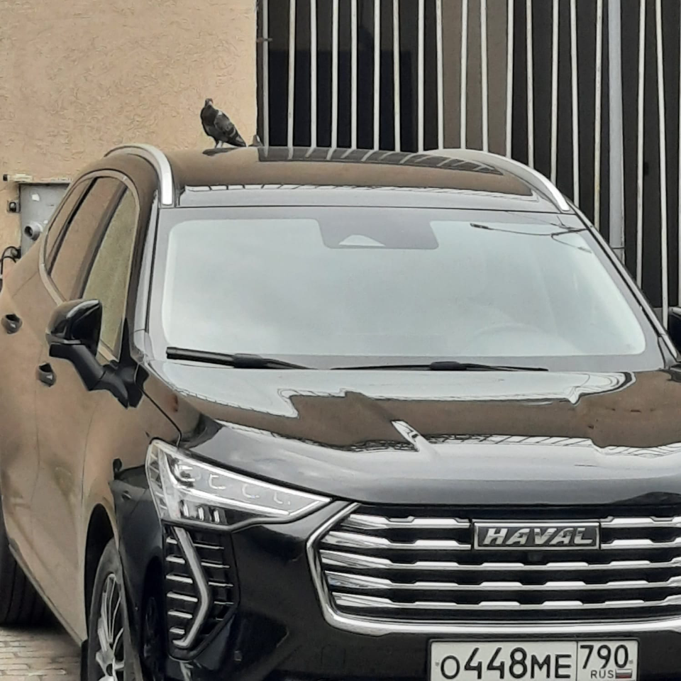 Обои 2025-10-29 №73491