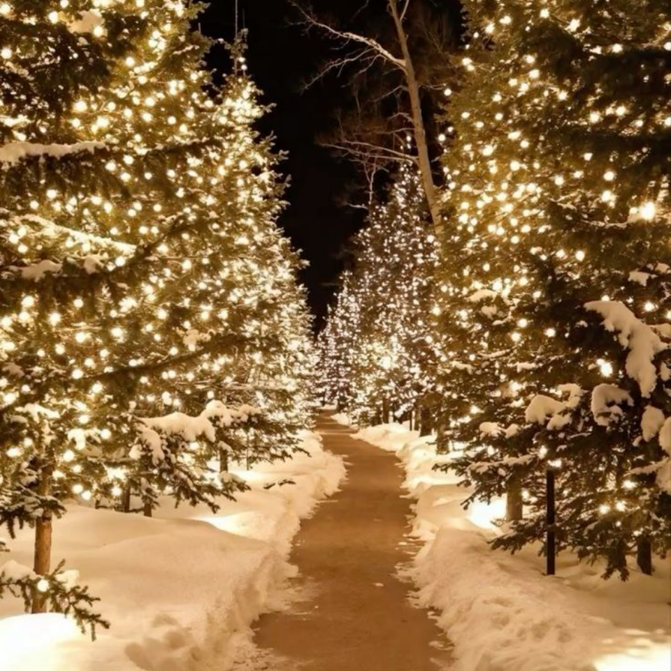 Обои 2025-11-06 №74177