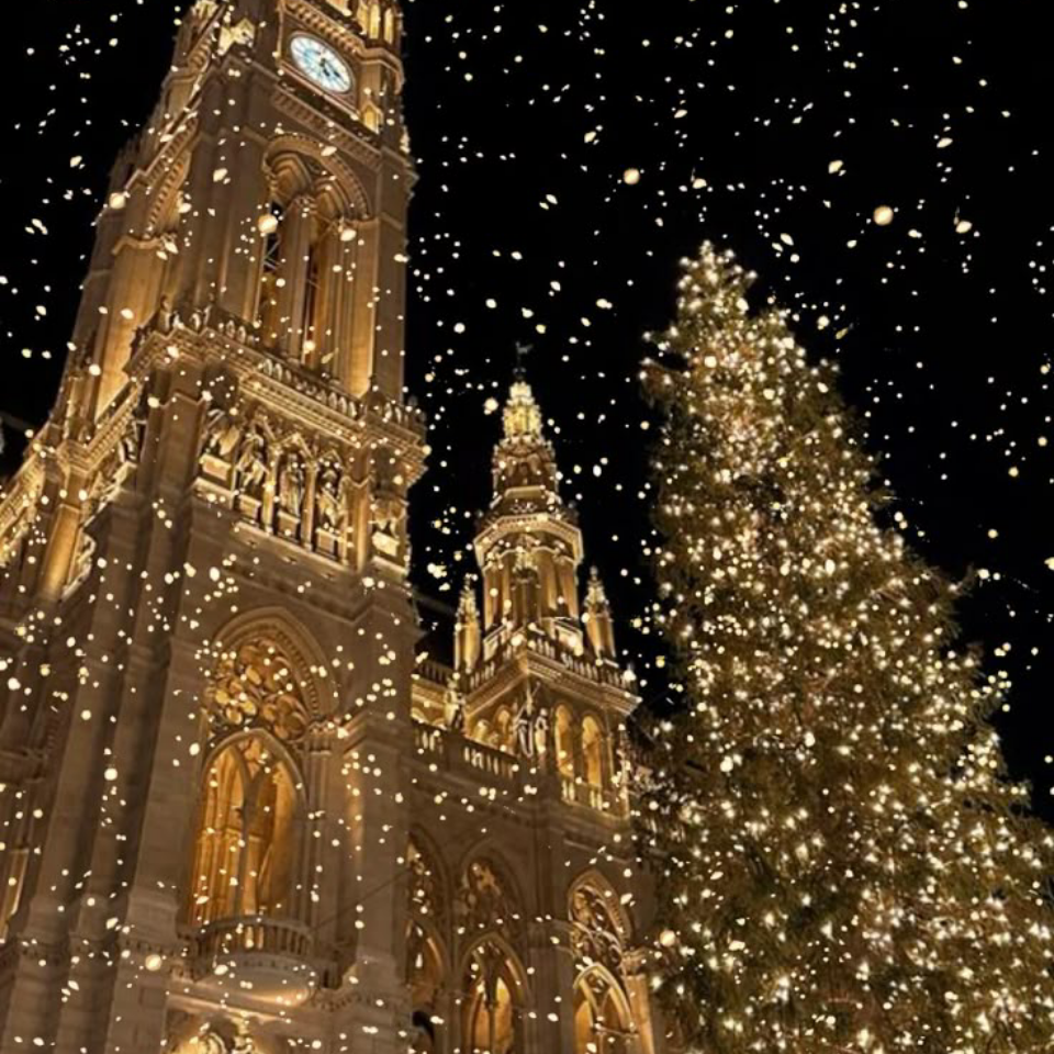 Обои 2025-11-06 №74187