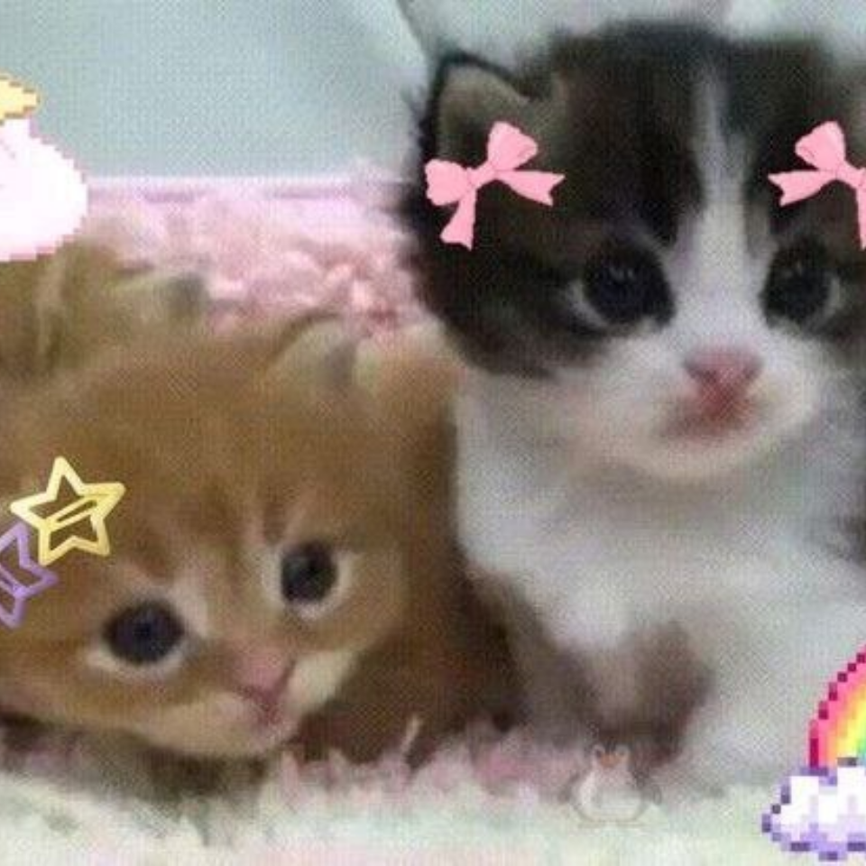 Обои 2025-09-15 №69873