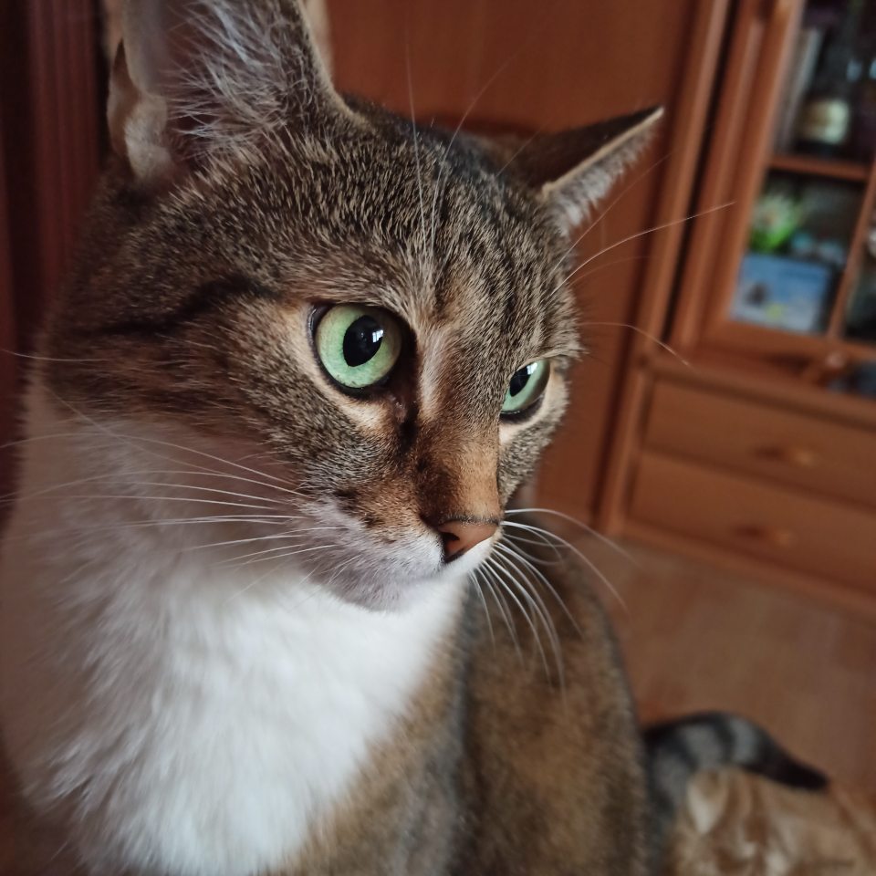 Обои 2025-10-12 №72128