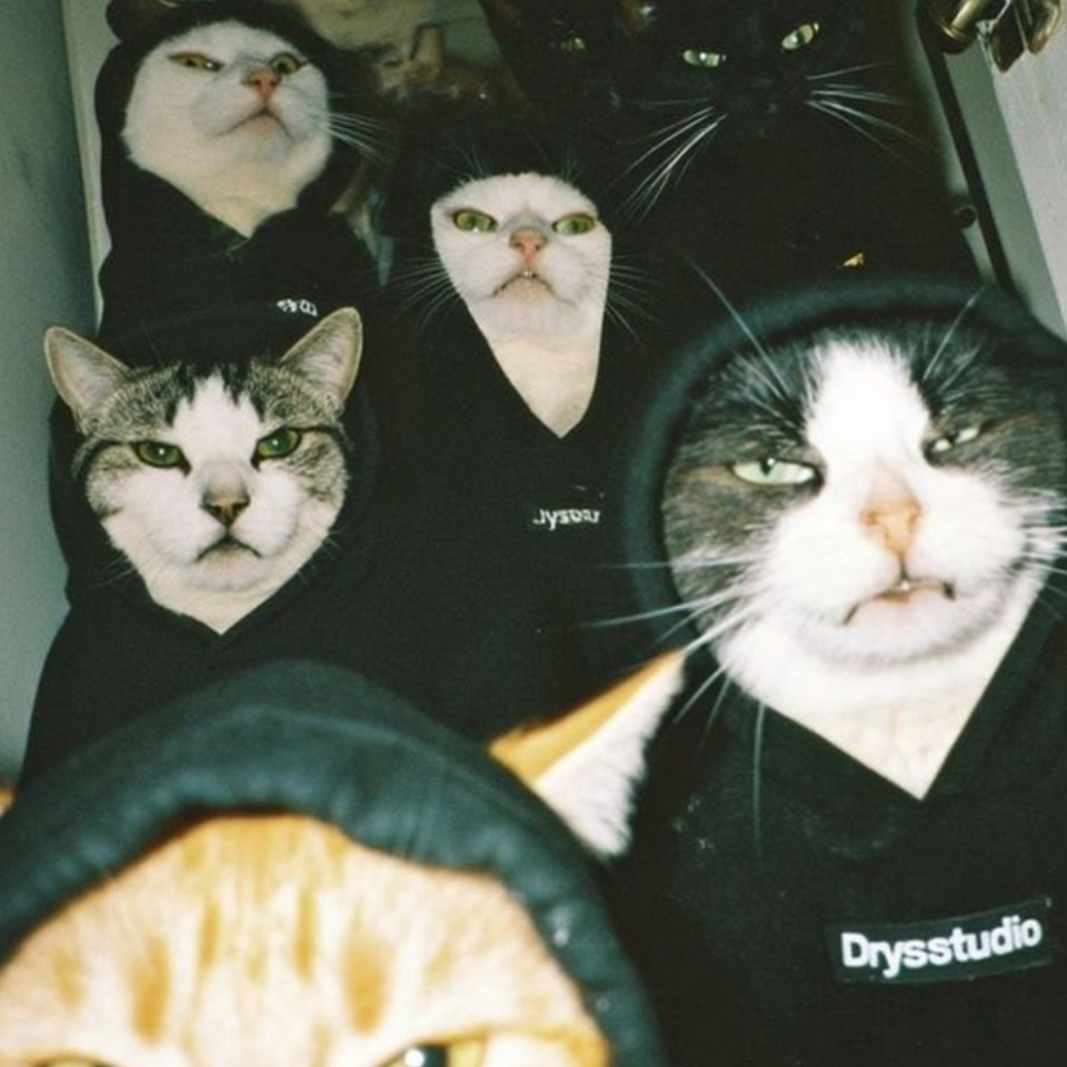 Обои 2025-11-18 №75141