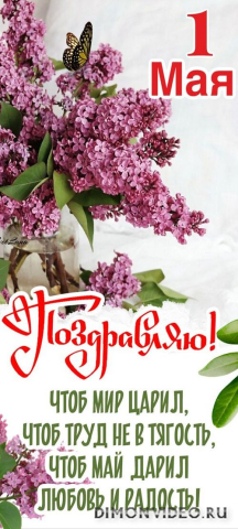 Обои 2026-04-30 №83259