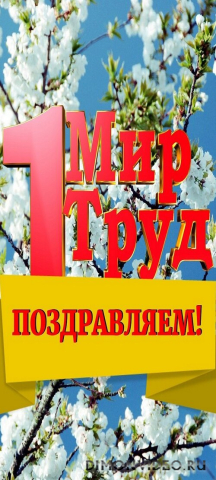 Обои 2025-05-01 №56947