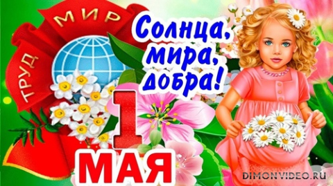 Обои 2025-05-01 №56951