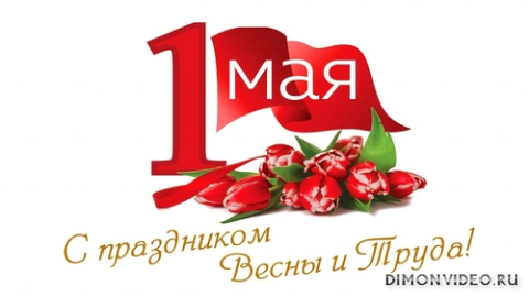 Обои 2025-05-01 №56950