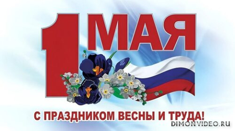 Обои 2025-05-01 №56949