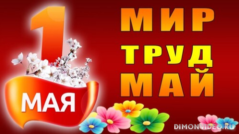 Обои 2025-05-01 №56953