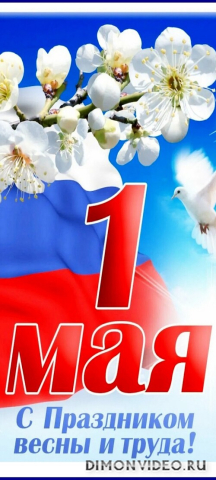 Обои 2025-05-01 №56948