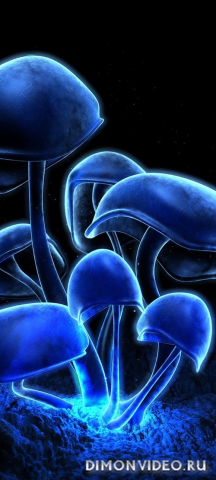 Обои 2026-03-15 №81262