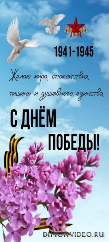 Обои 2026-05-08 №83583