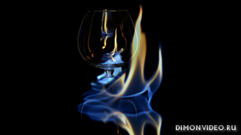 Обои 2026-04-19 №82798