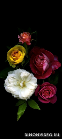 Обои 2026-03-03 №80761