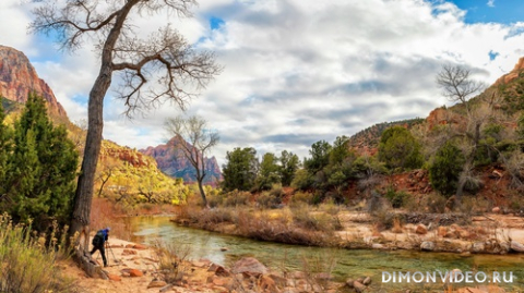 Обои 2026-03-23 №81623