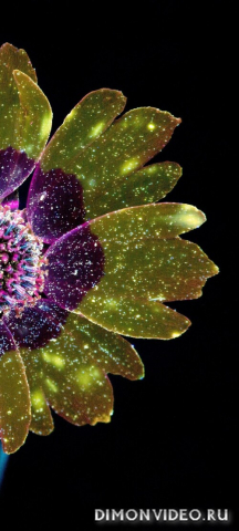 Обои 2026-04-17 №82728