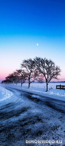 Обои 2026-04-28 №83170