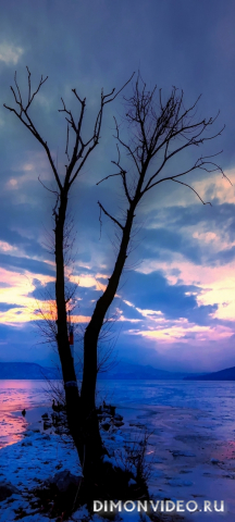 Обои 2026-03-22 №81581