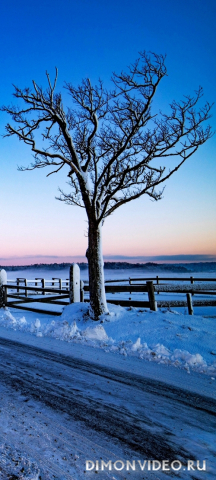 Обои 2026-04-28 №83168