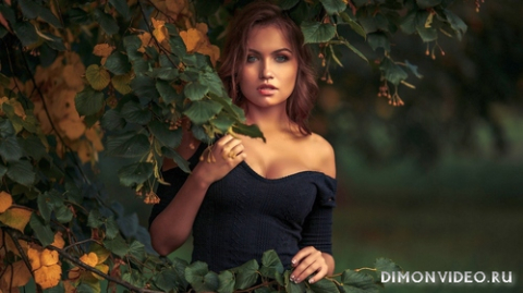 Обои 2026-10-10 №86719