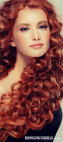 Обои 2026-01-17 №79554