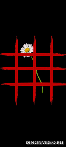 Обои 2026-05-22 №84197