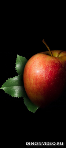 Обои 2026-04-04 №82150