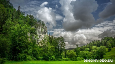 Обои 2026-03-23 №81624