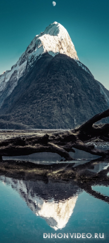 Обои 2026-04-18 №82754