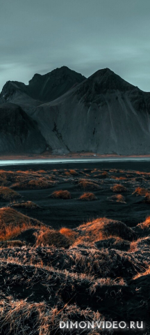 Обои 2026-04-03 №82119