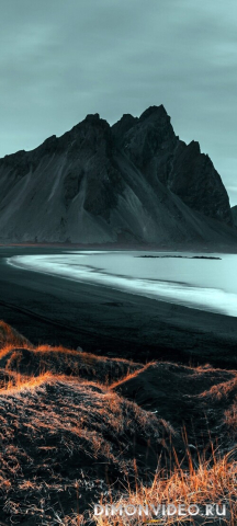 Обои 2026-04-03 №82118