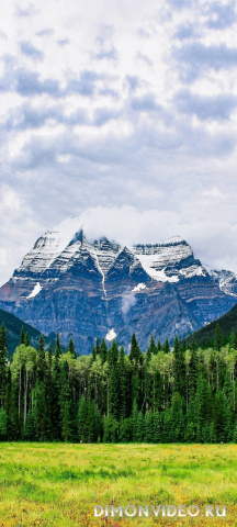 Обои 2026-03-02 №80703