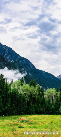 Обои 2026-03-02 №80704