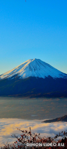 Обои 2026-01-18 №79559