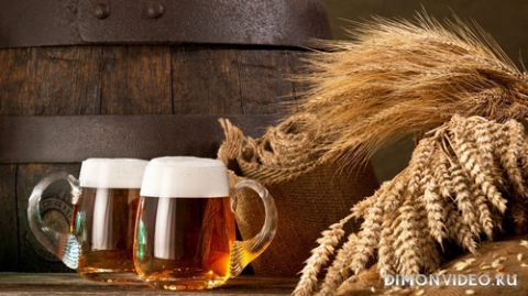 Обои 2026-04-06 №82257