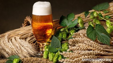 Обои 2026-04-12 №82491