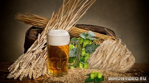 Обои 2026-04-12 №82490