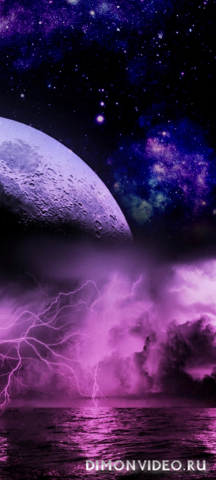 Обои 2026-01-21 №79573