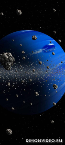 Обои 2026-01-21 №79572