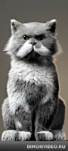 Обои 2026-02-01 №79592