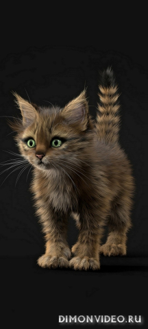 Обои 2026-02-01 №79589