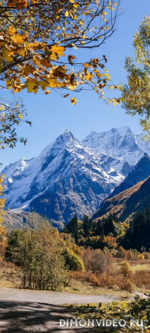 Обои 2026-03-02 №80700