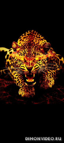 Обои 2026-03-14 №81205