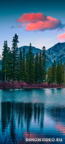 Обои 2026-04-03 №82117