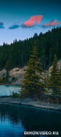 Обои 2026-04-03 №82116