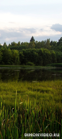 Обои 2026-01-18 №79563