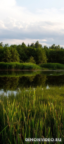 Обои 2026-01-18 №79562