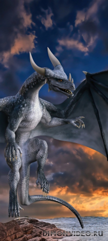 Обои 2026-03-19 №81454