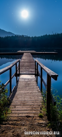 Обои 2026-04-27 №83129