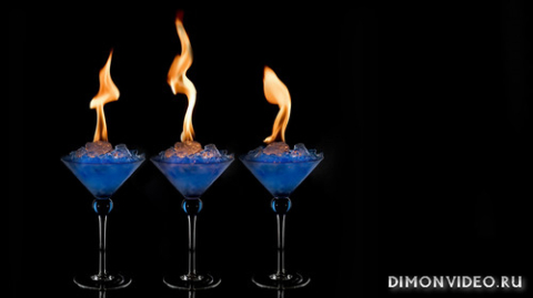 Обои 2026-04-19 №82796